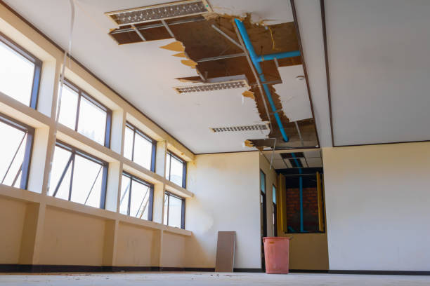 Best Ceiling water damage repair  in St Louis, MI