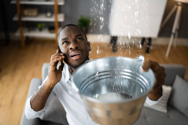 Best Water damage contractors near me  in St Louis, MI