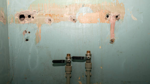 Best Sewage cleanup and water damage restoration  in St Louis, MI
