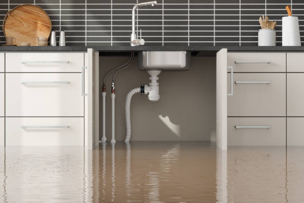 Best Flood damage cleanup  in St Louis, MI