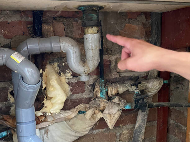 Best Carpet water damage restoration  in St Louis, MI