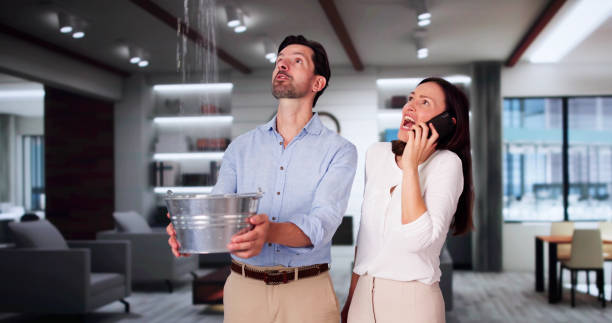 Best Water damage restoration insurance claims  in St Louis, MI