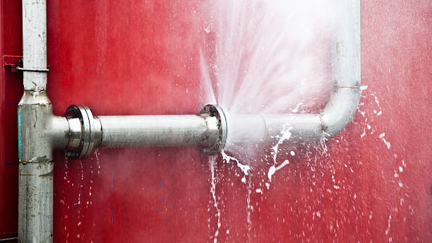 Best Flooded house restoration  in St Louis, MI